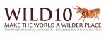 W 10 Logo
