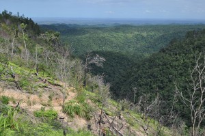 Maya Mountains