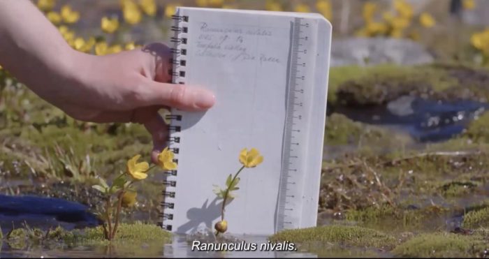 International Mountain Day 2025 (4)