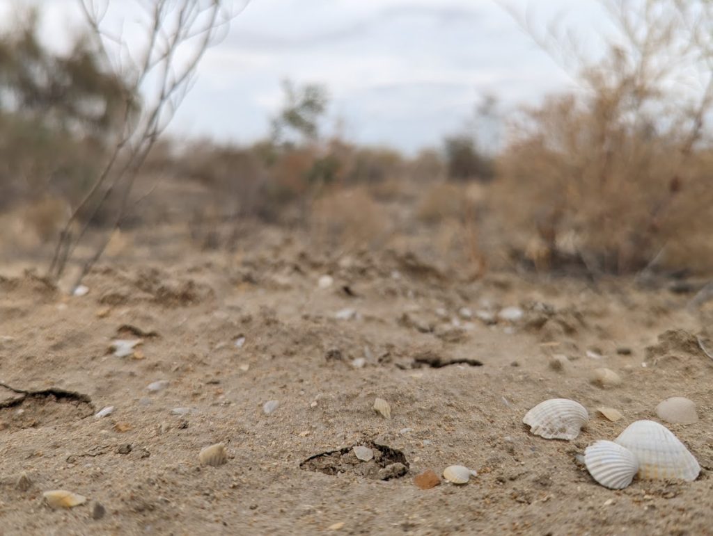 From a dead lake, to the largest glacier outside polar regions (1)