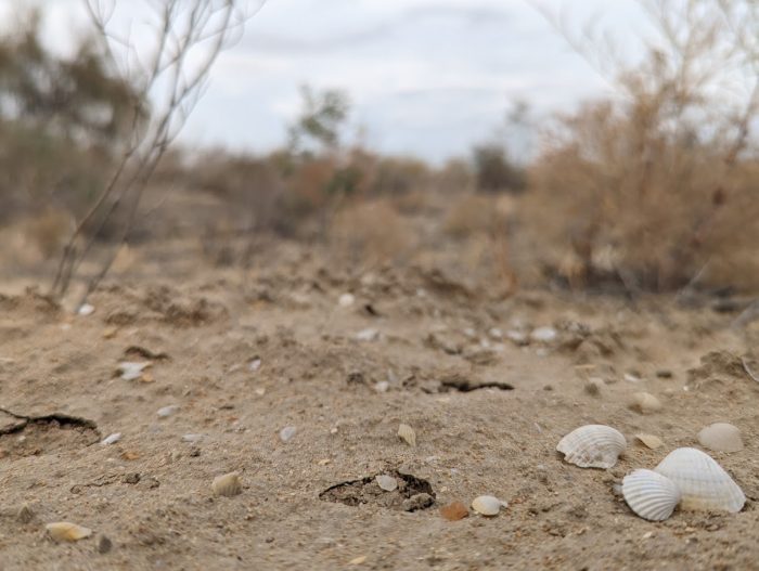From a dead lake, to the largest glacier outside polar regions (1)